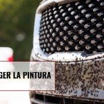mosquitos-en-el-coche