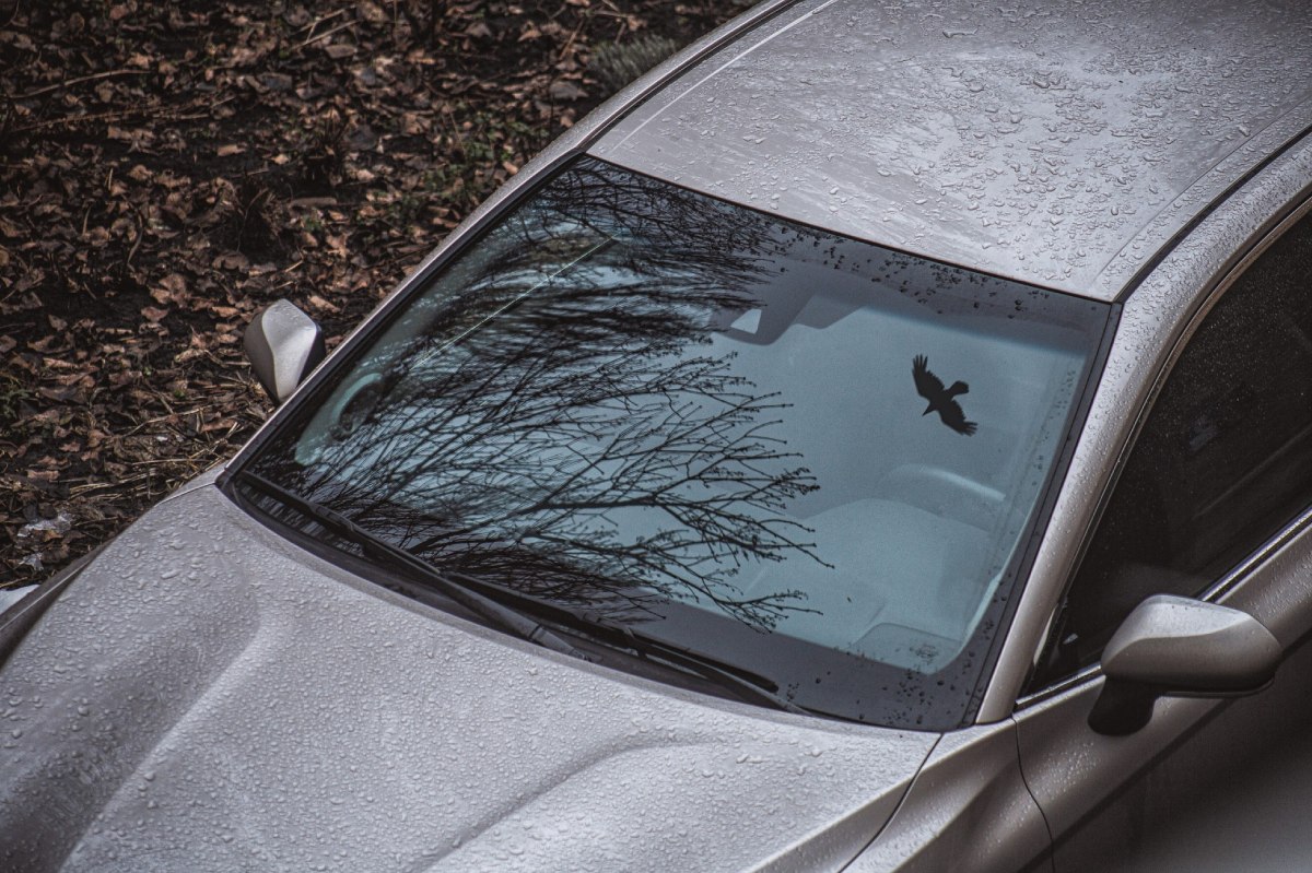 coche a la intemperie