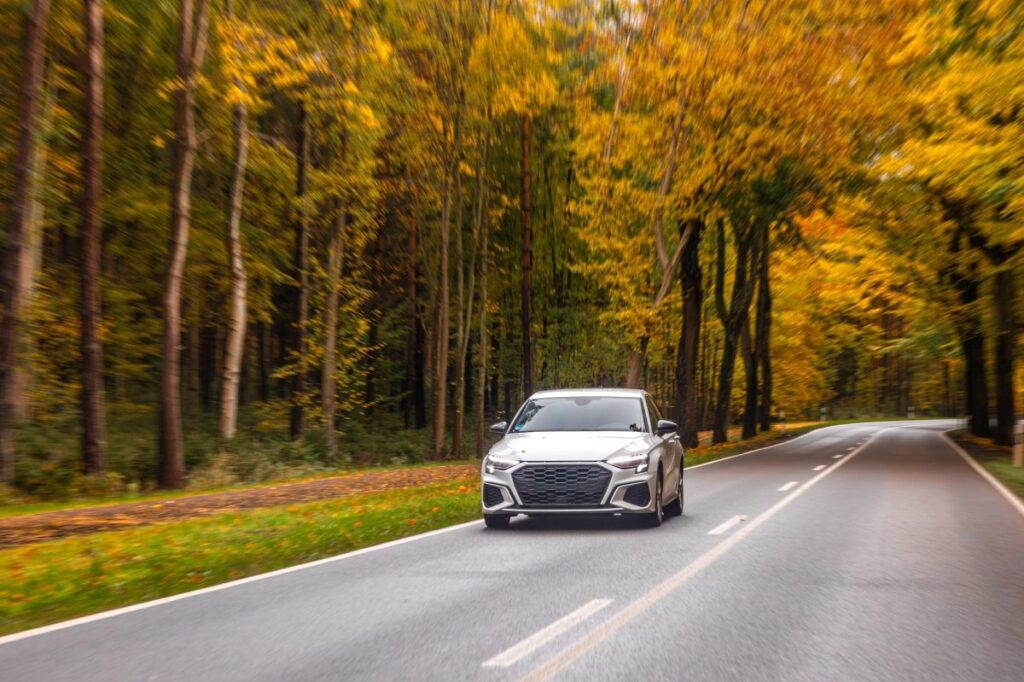 coche pasando por carretera de bosque